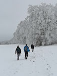 Wo ist der Weg?