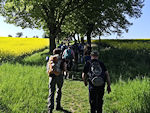 Bergan nach Großsedlitz