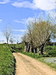 Der Weg nach Meusegast
