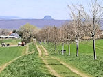 Blick zurück nach Meusegast