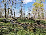 Die Reste des Belvedere zu Weesenstein