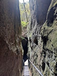 In der Wolfsschlucht