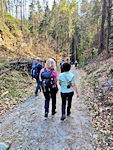 Bergab auf dem F&uuml;llh&ouml;lzelweg